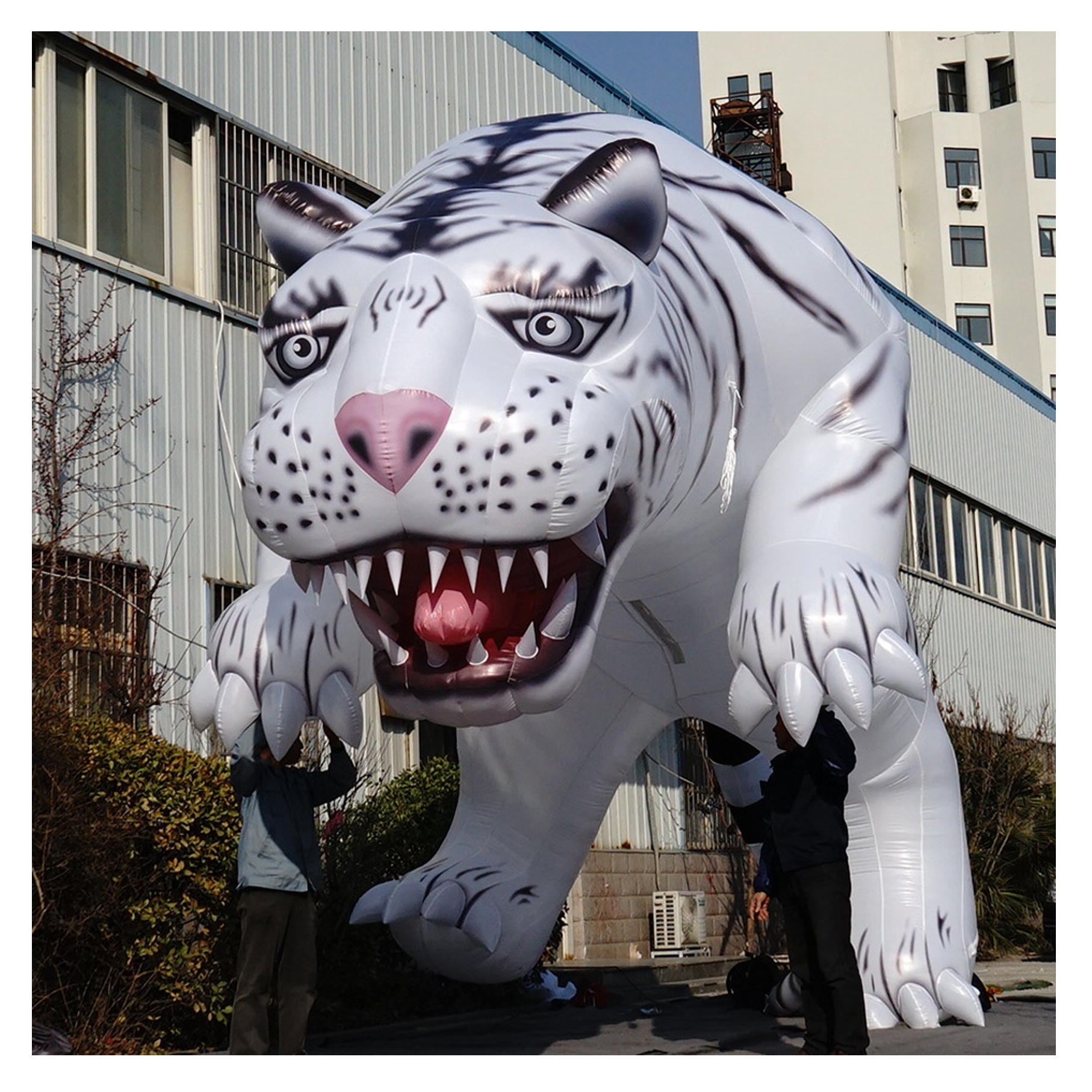 7M Long Custom Made Giant Inflatable Fierce White Tiger Animals For Zoo Advertising