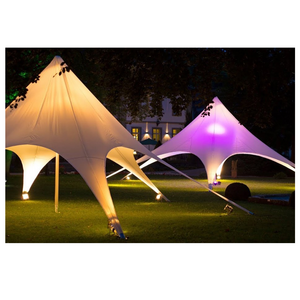 Top Sale Outdoor Star Shade Canopy, Star Shaped Marquee Party Tent