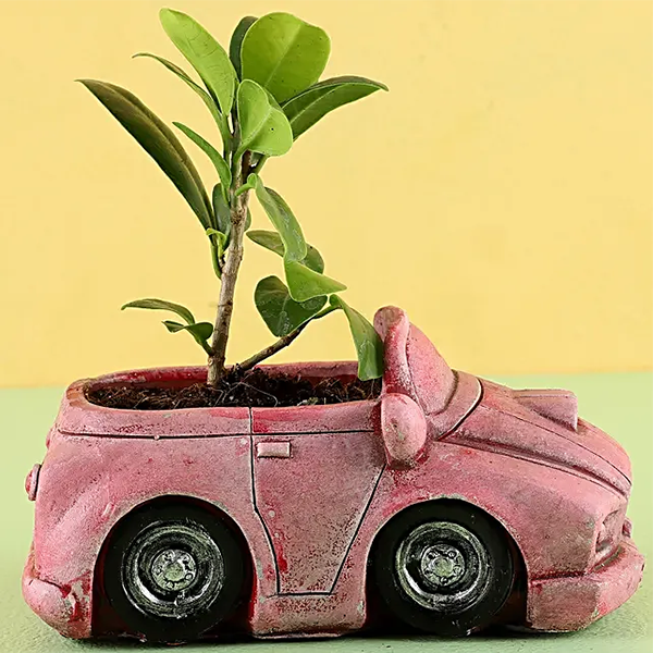 Custom Pink Car Planter Resin Car Shape Pot for Indoor Plant Cool Flower Pot for Home Decor Car Plant Pot