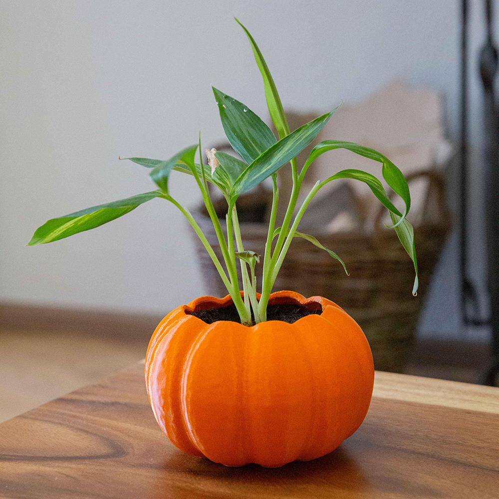 Custom Ceramic Carved Creative flower vase modern home decoration vase indoor orange pumpkin shape vase