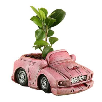 Custom Pink Car Planter Resin Car Shape Pot for Indoor Plant Cool Flower Pot for Home Decor Car Plant Pot