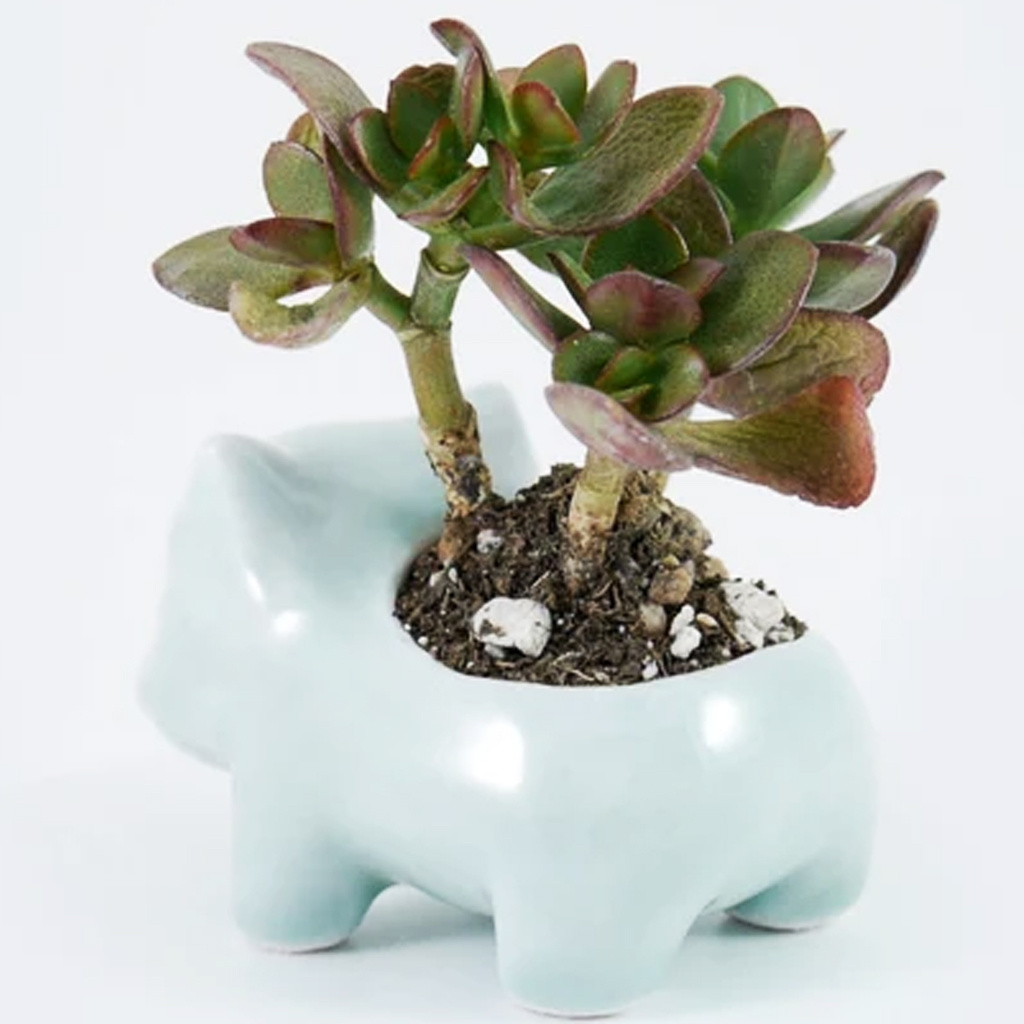 Custom ceramic bulbasaur planter flower plant pots porcelain animal cartoon shape succulent pot