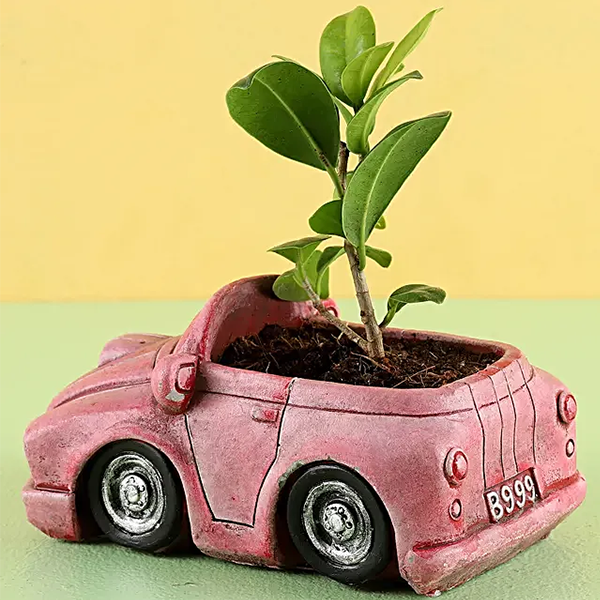 Custom Pink Car Planter Resin Car Shape Pot for Indoor Plant Cool Flower Pot for Home Decor Car Plant Pot