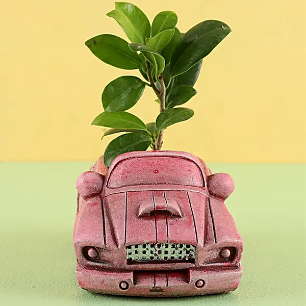 Custom Pink Car Planter Resin Car Shape Pot for Indoor Plant Cool Flower Pot for Home Decor Car Plant Pot