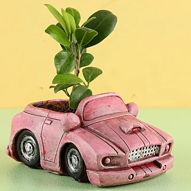 Custom Pink Car Planter Resin Car Shape Pot for Indoor Plant Cool Flower Pot for Home Decor Car Plant Pot