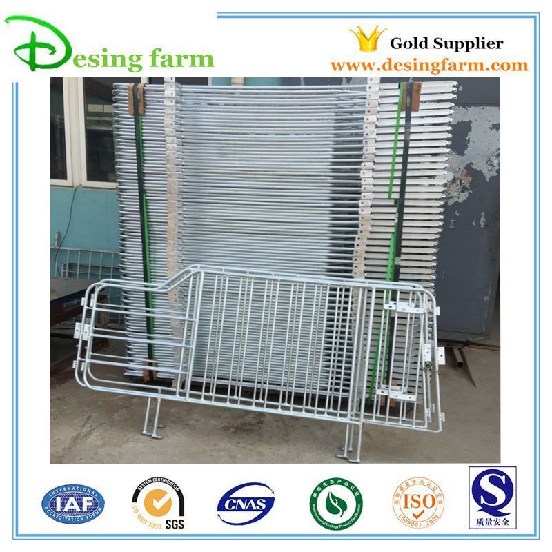 Popular Pig Steel Equipment Gestation Stalls Farm Design Project