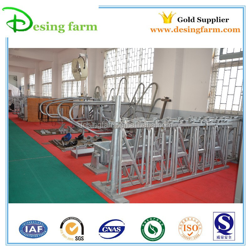 10ft hot dipped galvanized dairy cow headlock for sale