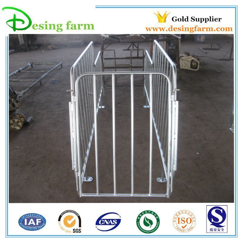 Popular Pig Steel Equipment Gestation Stalls Farm Design Project