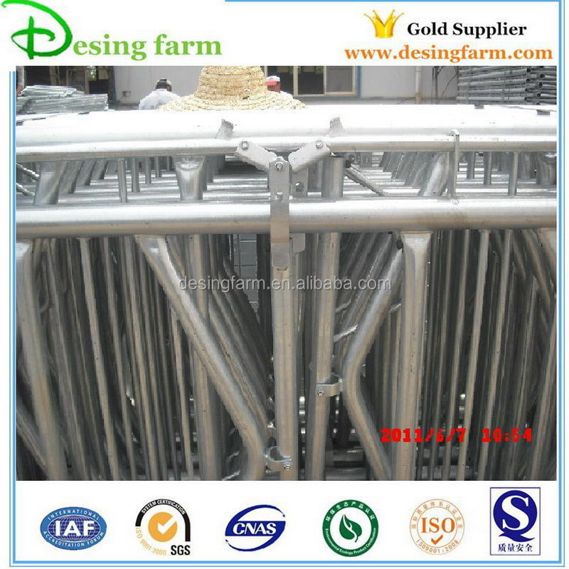 10ft hot dip galvanized dairy cow headlock