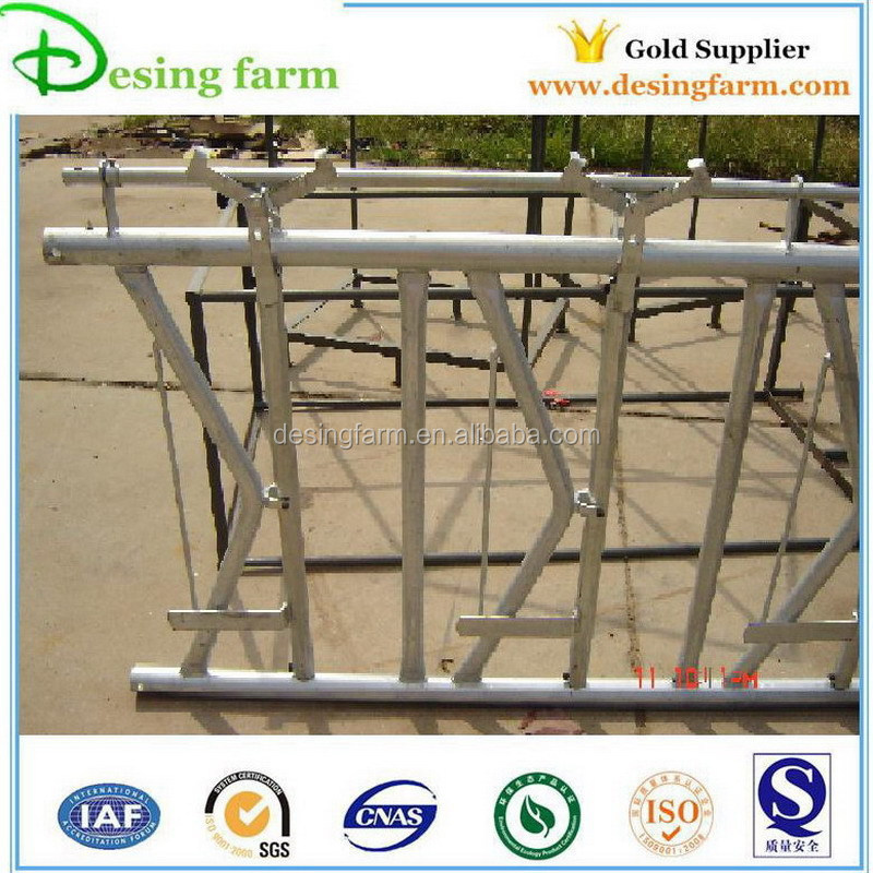 10ft hot dip galvanized dairy cow headlock