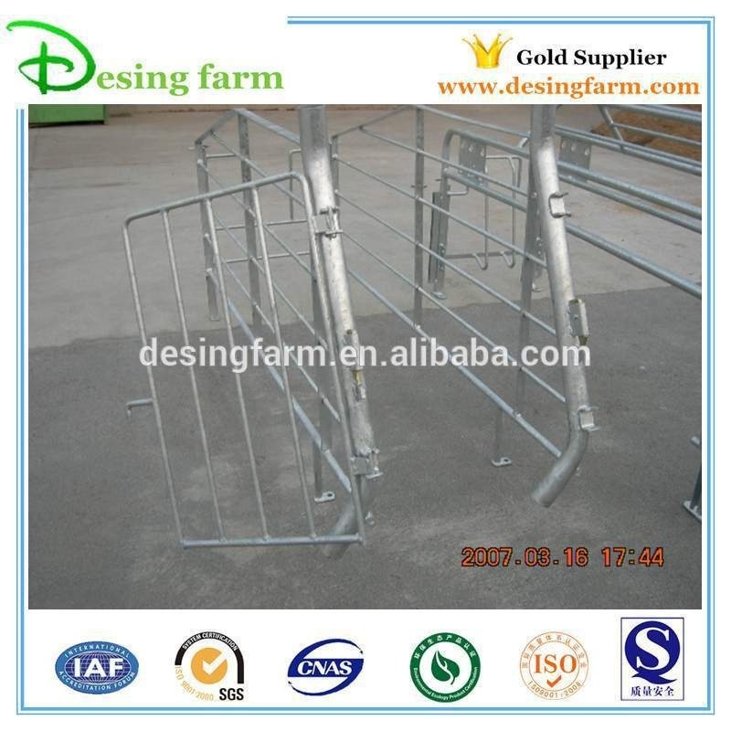 Popular Pig Steel Equipment Gestation Stalls Farm Design Project