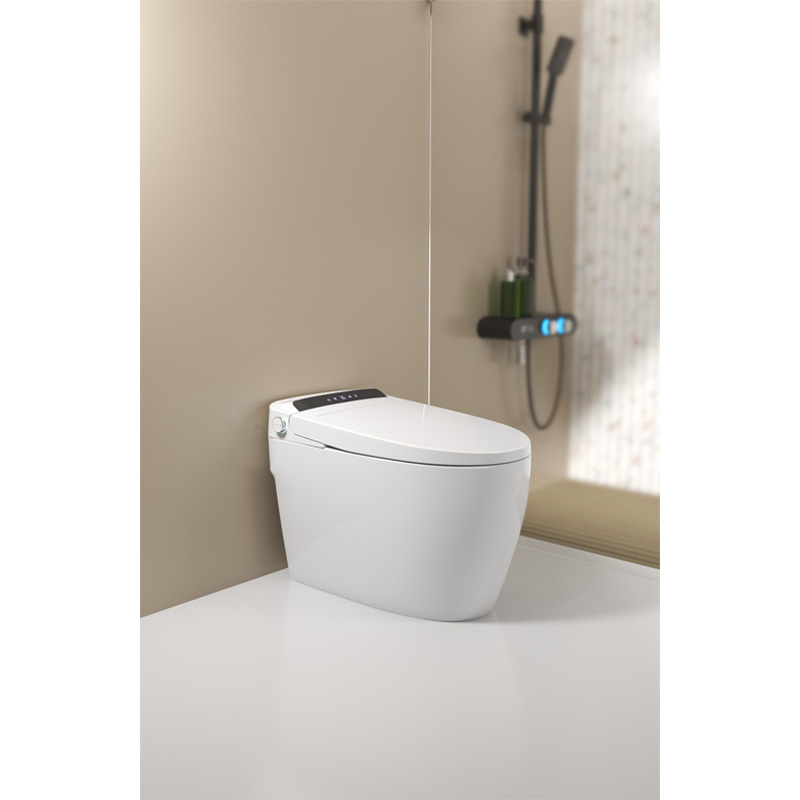 China wholesale high quality and low price chinese wc toilet/smart bidet toilet/bidet toilet seat smart