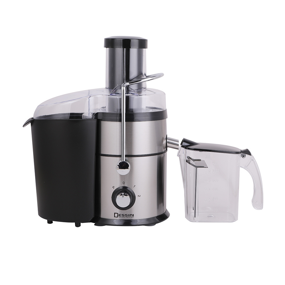 Dessini Professional Automatic Electric Apple Fruit Stainless Steel Juicer Machine Cold Press Commercial Slow Juicer