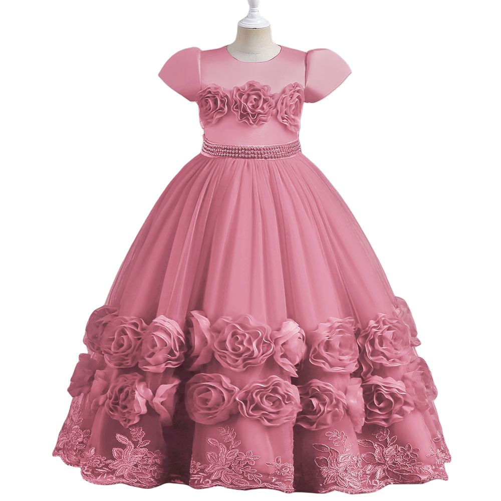 New embroidered bow puffy ball gown short sleeve costume prom dress girl clothes