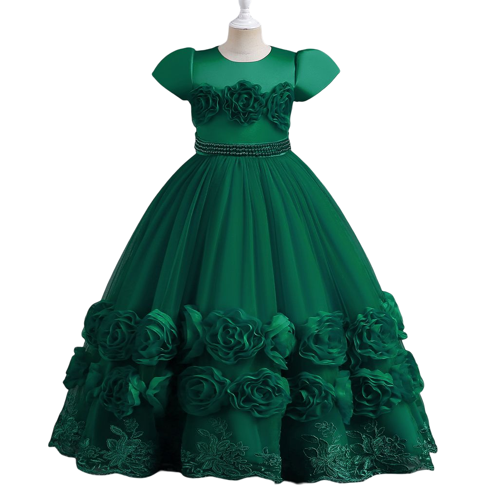 New embroidered bow puffy ball gown short sleeve costume prom dress girl clothes