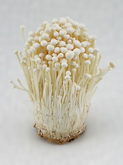 Mushroom Price of Detan Enoki