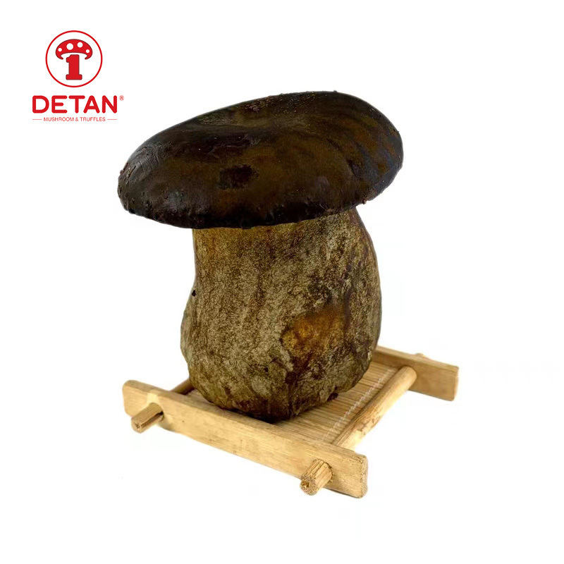 Detan Wholesale Bulk Price  Fresh cultivated Porcini Mushroom with low price