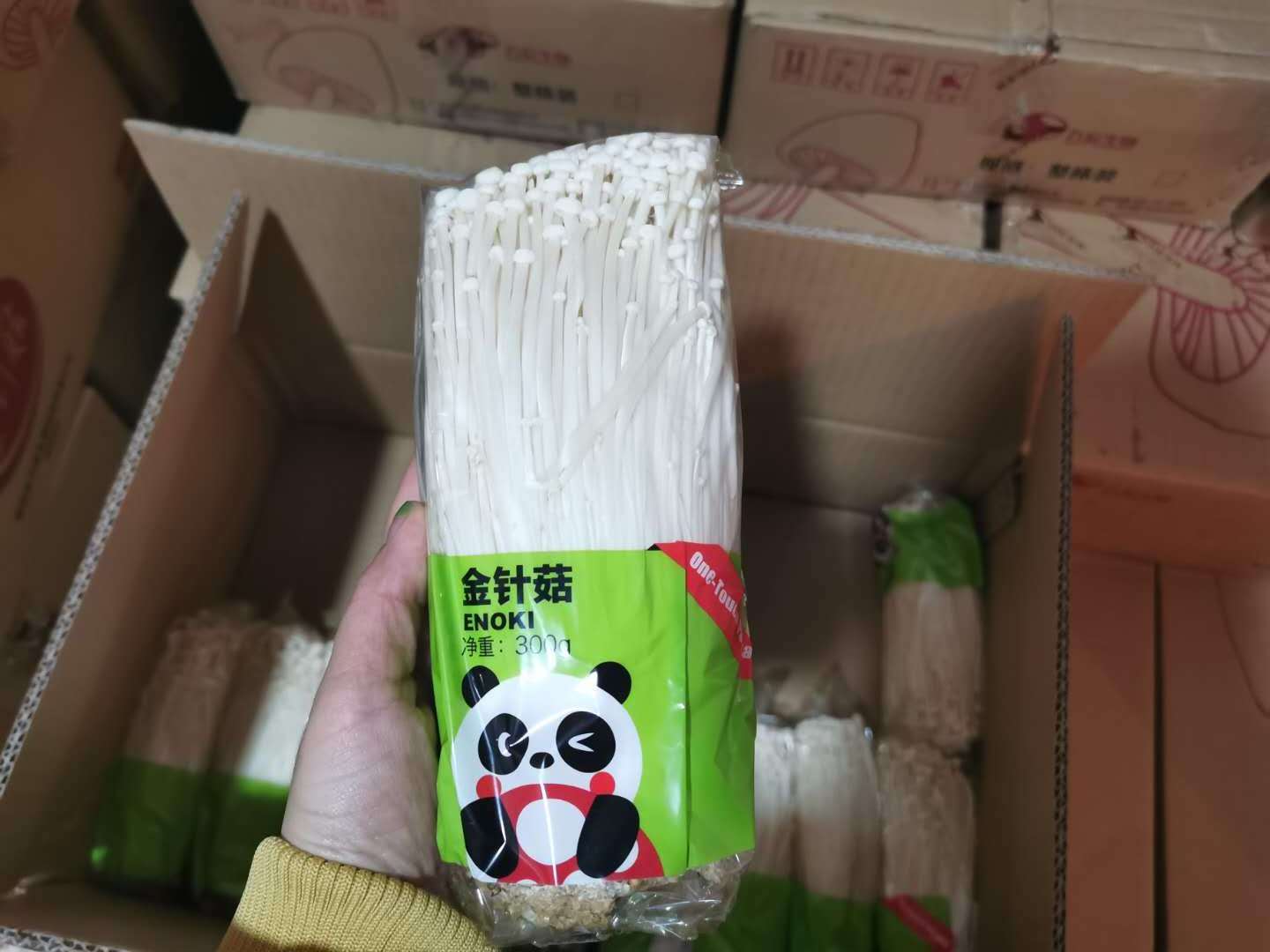 Fresh Mushroom/Detan Enoki Mushroom