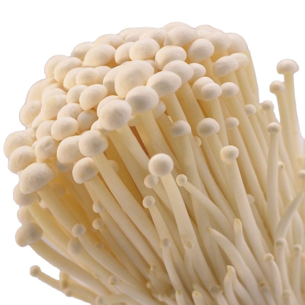 Fresh Mushroom/Detan Enoki Mushroom