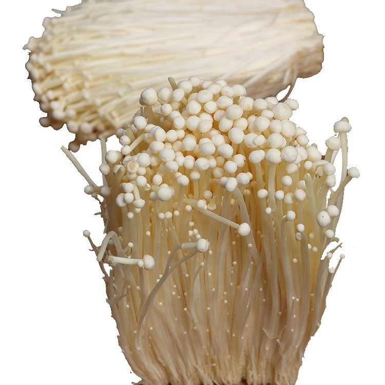 Wholesale Mushroom Prices of Detan Enoki Fresh Mushrooms