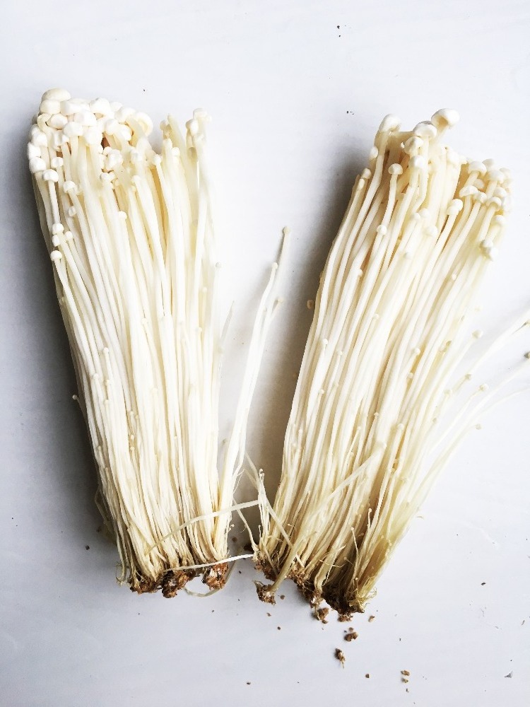 Detan Fresh Enoki Mushroom Export Price