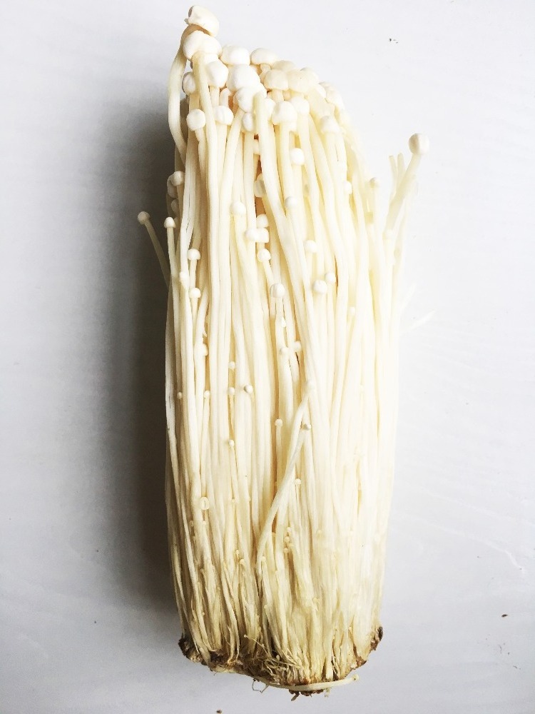 Detan Premium Quality Factory Growing Chinese Fresh Enoki Mushrooms Wholesale Price