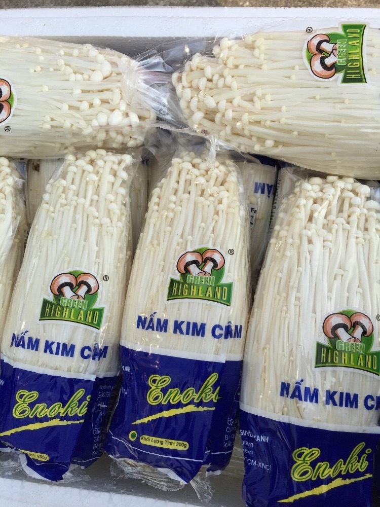 Fresh Mushroom/Detan Enoki Mushroom