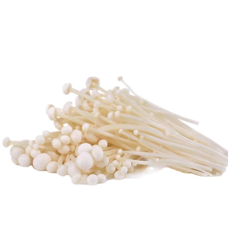 Detan Premium Quality Factory Growing Chinese Fresh Enoki Mushrooms Wholesale Price