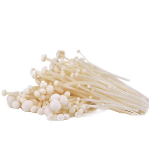 Detan Premium Quality Factory Growing Chinese Fresh Enoki Mushrooms Wholesale Price