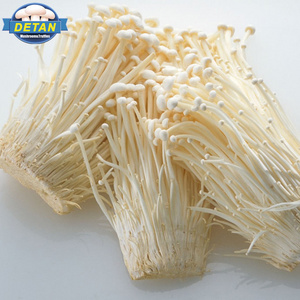 Detan Fresh Enoki Botanical Name of Mushroom