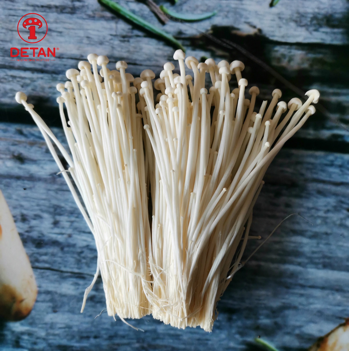 Fresh Mushroom/Detan Enoki Mushroom