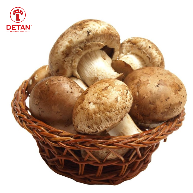 China export fresh shiitake mushroom reishi shiitake