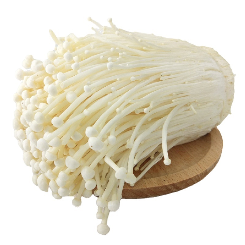 Detan Export High Quality Enoki Top grade Fresh Chinese Enoki Mushroom