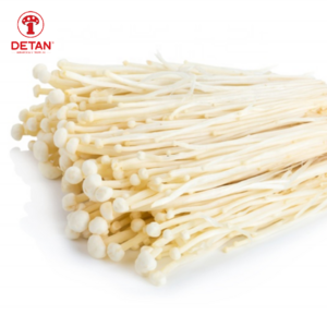 Detan Exit Fresh Enoki Mushroom Cultivation wholesale