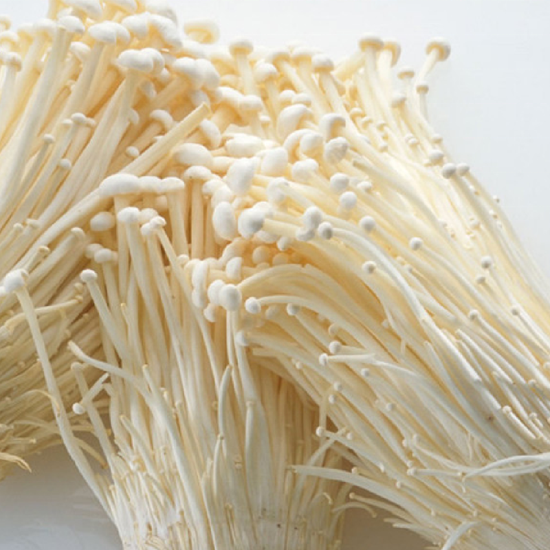 Detan Export High Quality Enoki Mushroom China Mushroom Wholesale