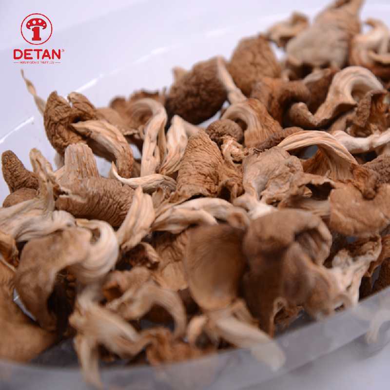 DETAN export dry oyster mushroom cultivation dried mushroom oyster mushroom price