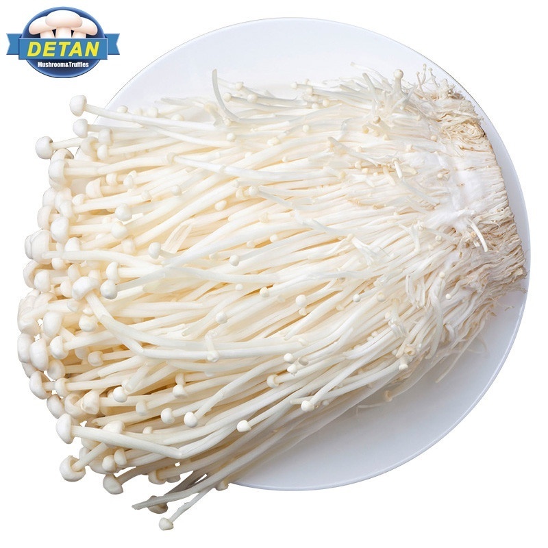 Detan Export High Quality Enoki Mushroom China Mushroom Wholesale