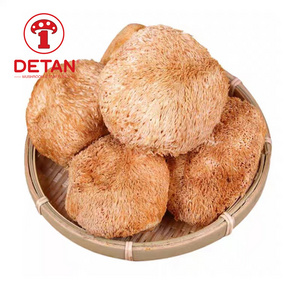 China export high quality bulk dried lions mane mushroom