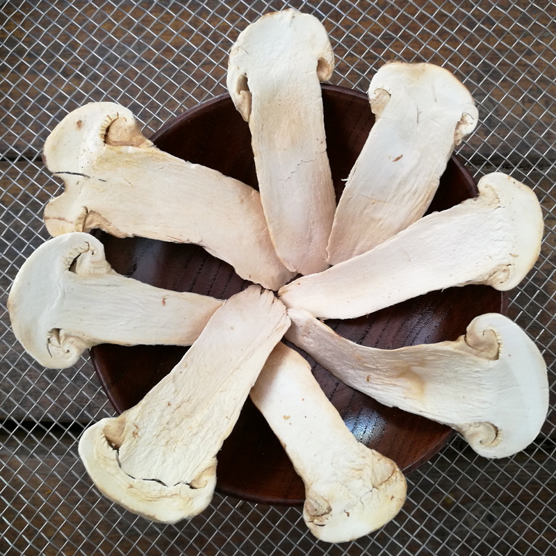 Freeze dried Tricholoma matsutake slices 1g is equivalent to 15g of fresh matsutake mushrooms