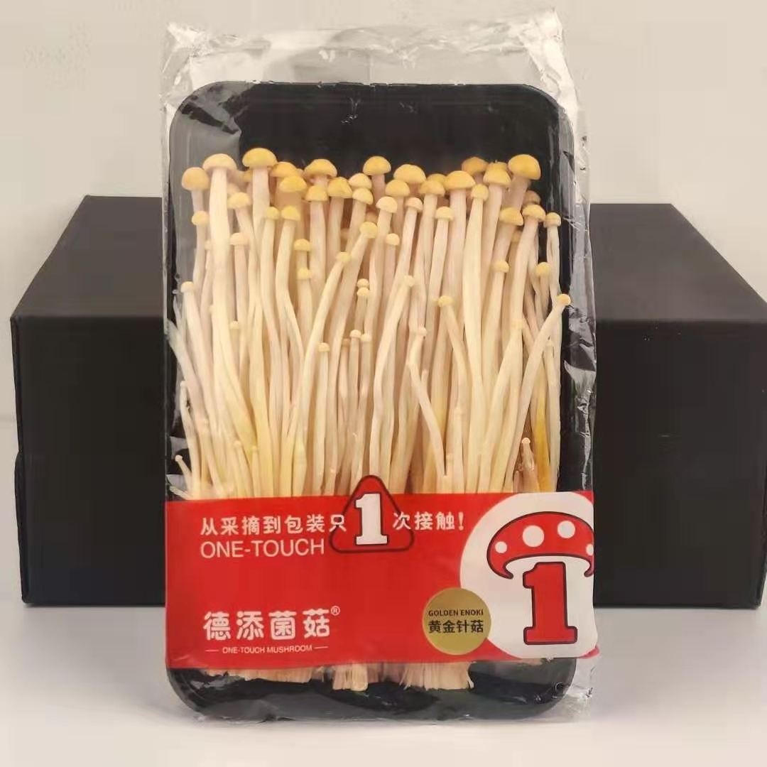 Detan Fresh Golden Enoki Exotic Mushroom