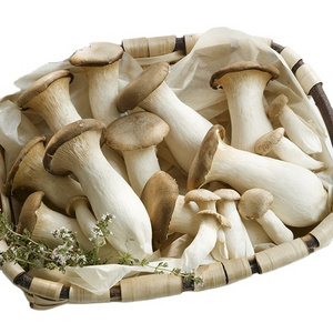 Detan Fresh King Oyster Mushroom For Export