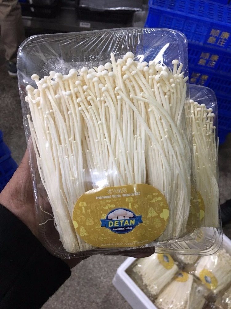 Wholesale Mushroom Prices of Detan Enoki Fresh Mushrooms