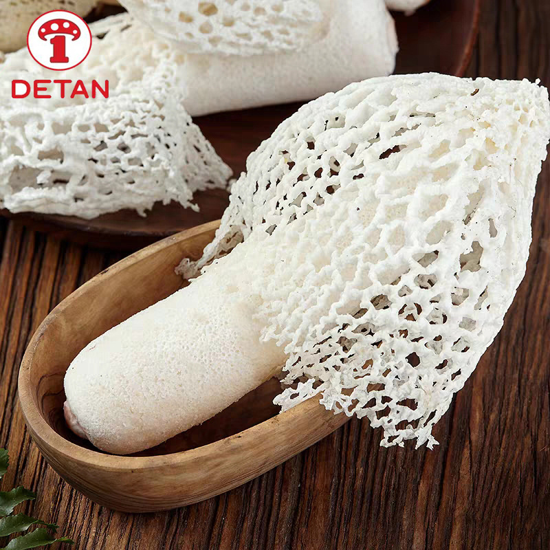 zhu sun mushroom export natural Wild Fresh bamboo mushroom for sale