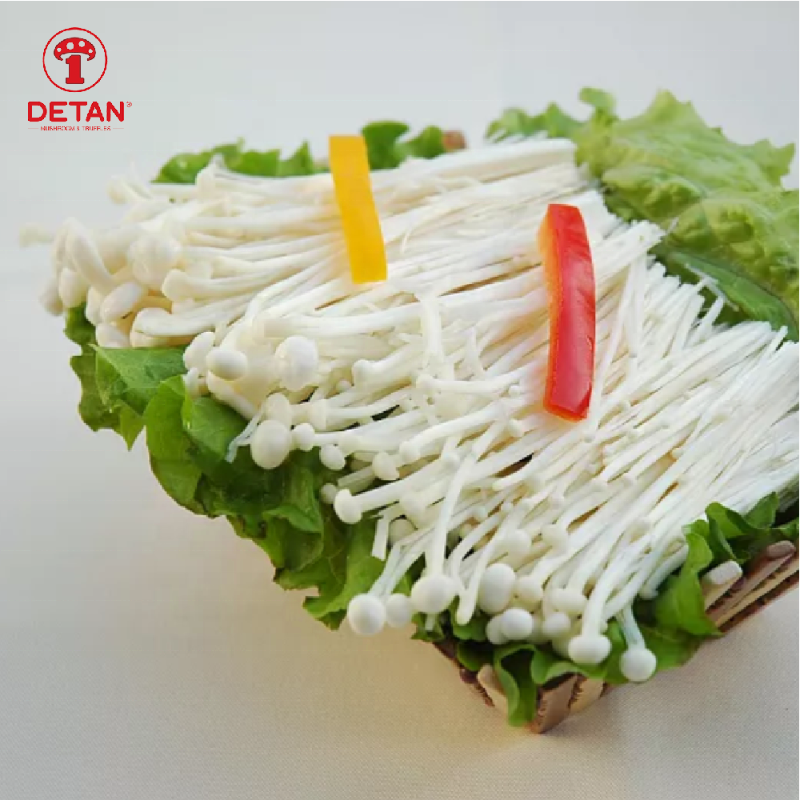 Detan Export High Quality Enoki Top grade Fresh Chinese Enoki Mushroom