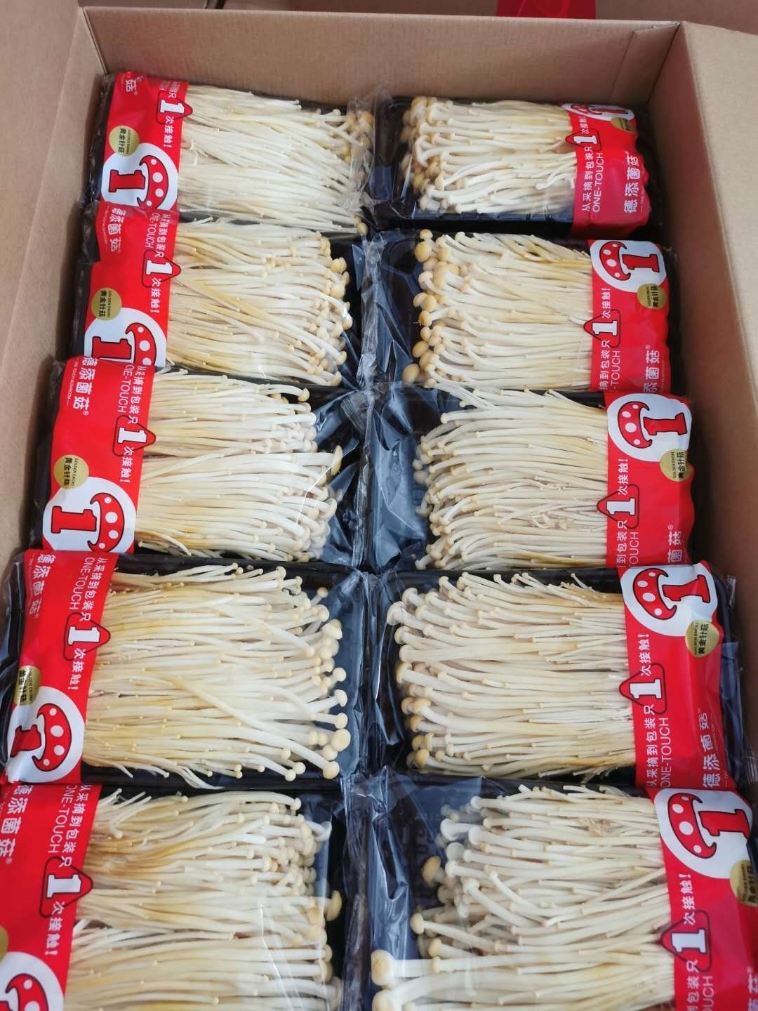 Detan Export High Quality Enoki Top grade Fresh Chinese Enoki Mushroom