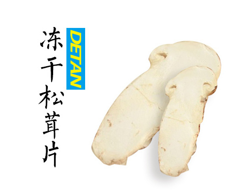 Freeze dried Tricholoma matsutake slices 1g is equivalent to 15g of fresh matsutake mushrooms