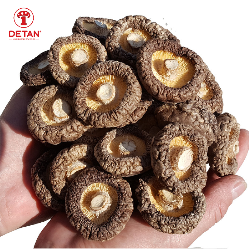 Dried Shiitake Mushroom Wholesale High Quality Low Price