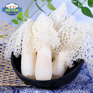 Detan Wild Fresh bamboo mushroom