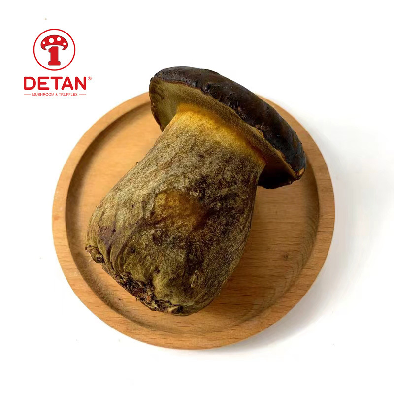 Detan Wholesale Bulk Price  Fresh cultivated Porcini Mushroom with low price