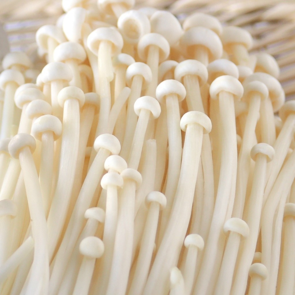 Detan Exit Fresh Enoki Mushroom Cultivation wholesale